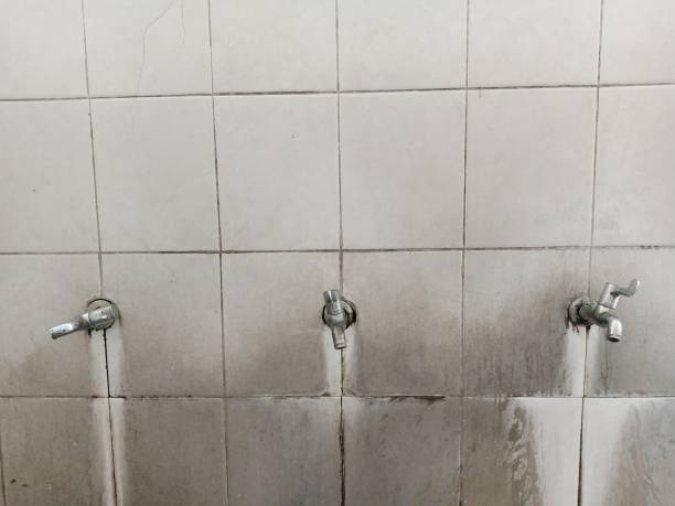 Best Professional water damage repair  in Star Valley Ranch, WY